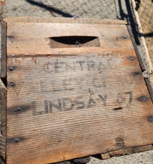 y65- Central Valley Citrus Lindsay 67 Crate - Image 3