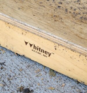 y109- Whitney Dresser - Image 2