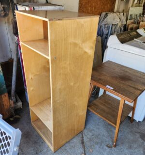 y109- Whitney Dresser - Image 4