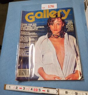 z176- Gallery Feb. 1978