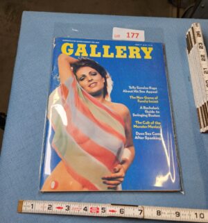 z177- Gallery June Issue
