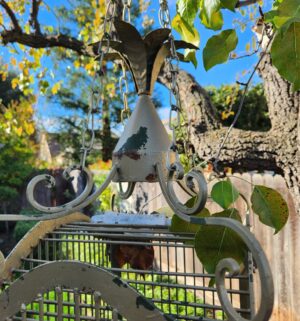 a3- Antique Iron Bird Cage. Kept Outside - Image 3