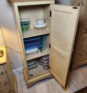 a91- distressed cream-colored wooden single-door accent cabinet with dragonfly decals - Image 3