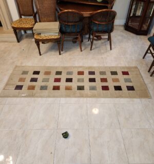 a127- Kathy Ireland Runner Rug 2ft x 8ft