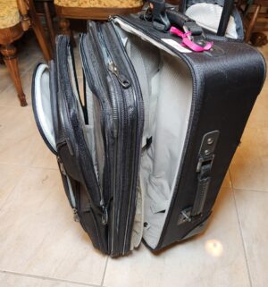a144- Ricardo Rolling Luggage - Image 3