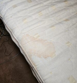 a176- King Size Dual Adjustable Bed. Fully Tested/Works Great. Older Model (late 90s early 00s) - Image 8