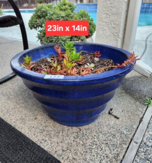 b127- glazed pot w/ succulent