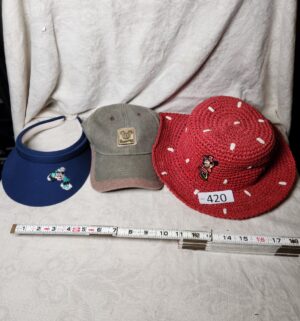b420- Disney hats