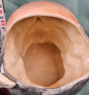 d28- Royal Doulton William Shakespeare character jug - Image 3