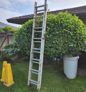 c15- usable extension ladder