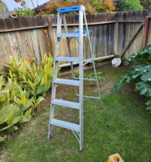 c17- werner 6ft ladder