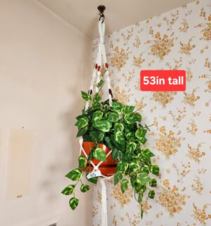 c65- fake hanging plant - Image 1