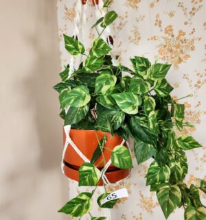 c65- fake hanging plant - Image 2