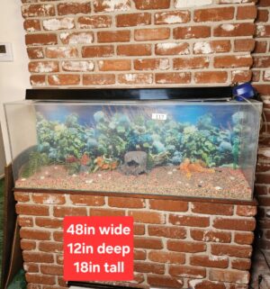 c117- large fish tank, recently drained, includes accessories, plastic tank - Image 1
