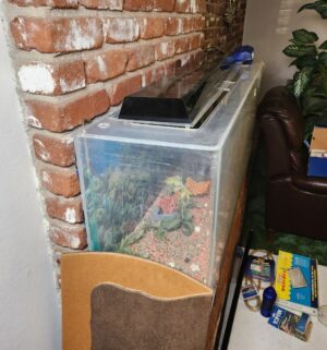 c117- large fish tank, recently drained, includes accessories, plastic tank - Image 4