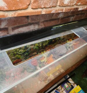 c117- large fish tank, recently drained, includes accessories, plastic tank - Image 5
