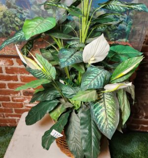 c118- fake plant w/ woven basket - Image 2