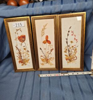 c215- botanical artwork - Image 1