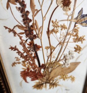 c215- botanical artwork - Image 2