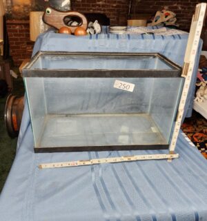 c250- glass fish tank - Image 1