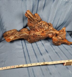 c300- antique burl wood candle holder - Image 3