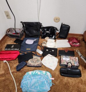 g31- purse and handbag collection