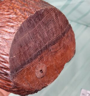 g208- Wood Carved Bear. Cubcake - Image 3