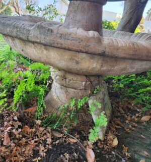 g343- Cement Water Fountain w/ Fish Finial. Very Heavy Item. You must bring help to move & load - Image 4