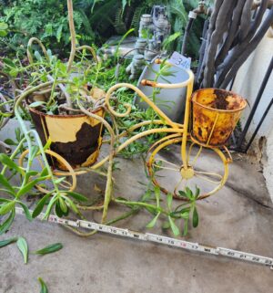 g346- tricyle planter