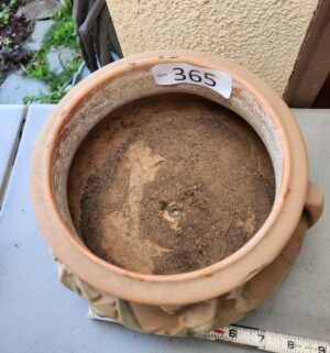 g365- Roseville Iris Art Pottery jardiniere - Image 3