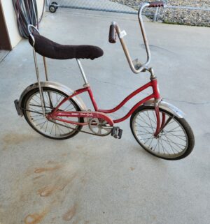 g556- Original Schwinn Fair Lady Bicycle