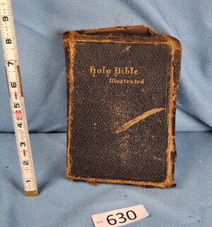 d630- Antique Color Illustrated King James Bible
