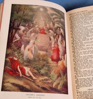 d630- Antique Color Illustrated King James Bible - Image 4
