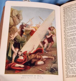 d630- Antique Color Illustrated King James Bible - Image 5
