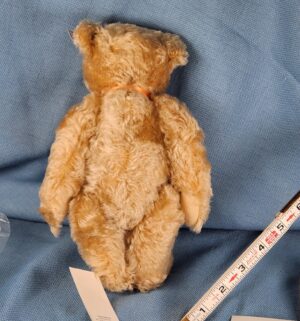 d701- Steiff Royal Wedding Teddy Bear 2011 commemorative bear - Image 3