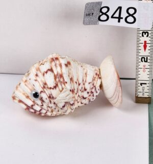 d848- Shell Fish Toothpick Holder