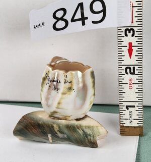 d849- Carved Mother of Pearl Shell Toothpick Holder