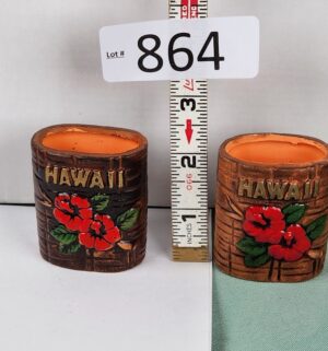 d864- vintage Hawaii souvenir toothpick holder