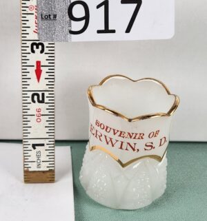 d917- Erwin, SD Souvenir Toothpick Holder