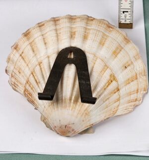 d939- Victorian 1895 Toothpick Holder - Image 3