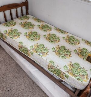 i60- 2 Vintage Twin mattresses only
