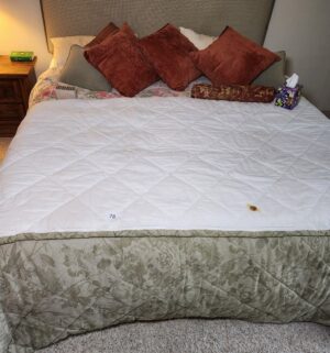 i78- Cal King Bedding & Pillows Only