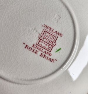 i322- Copeland Spode dinnerware set, Rose Briar pattern - Image 6