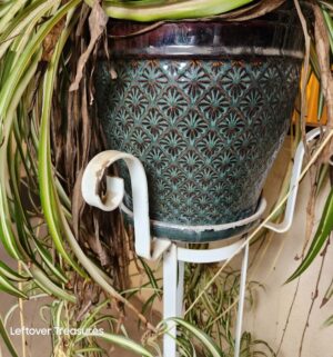 j97- Potted Spider Plant - Image 3