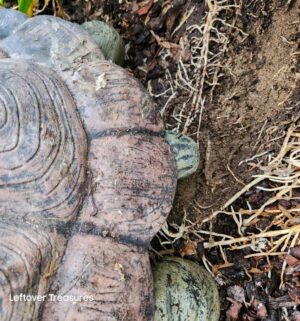 j325- Very Large. SOLID CEMENT Garden Tortoise. Hydraulic Platform Lift Available for Loading Only. - Image 3