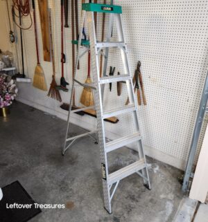 j111- Gorilla Ladder - Image 1