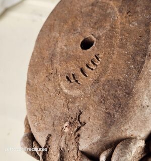 k162- California Quail. Signed by Margaret Hudson - Image 4