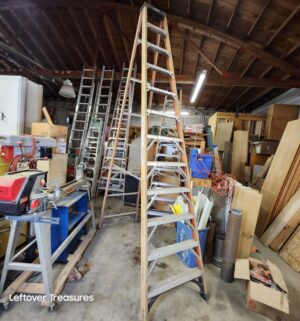 L309- 12 foot ladder