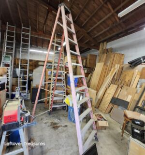 L310- Werner 12 foot ladder