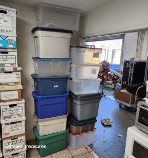 M81- large storage totes
